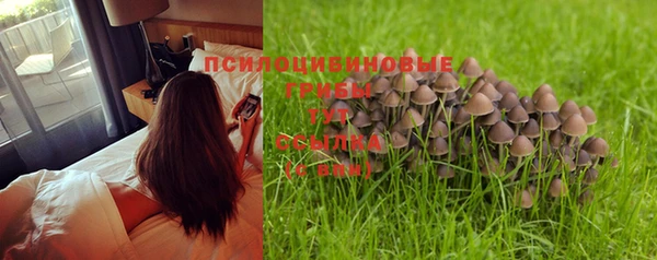 ешки Осташков