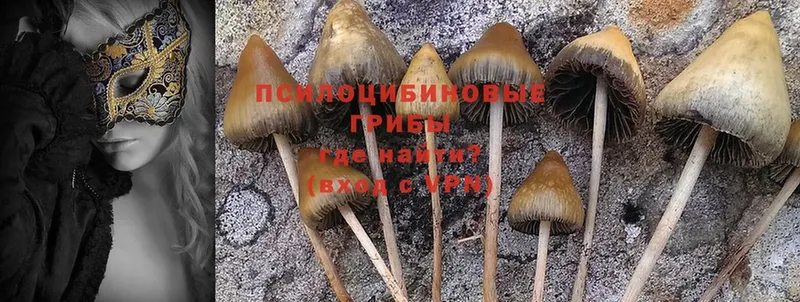 Галлюциногенные грибы Magic Shrooms Пугачёв