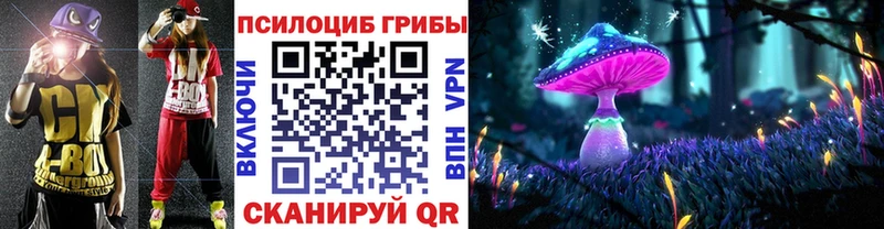 продажа наркотиков  Пугачёв  Галлюциногенные грибы Psilocybe 